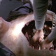 Image for article titled Science Fiction's Greatest Failures (And How They Saved Us All)